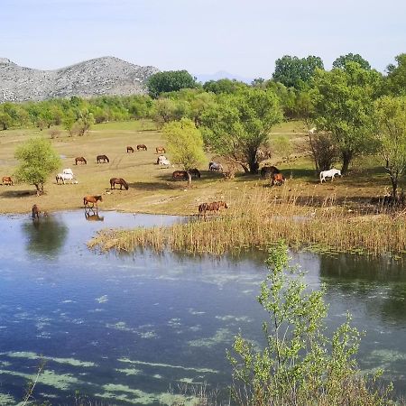 Wild Beauty House Skadar Lake Τσέτινιε Εξωτερικό φωτογραφία