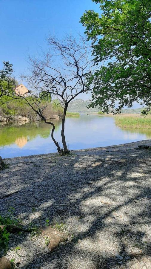 Wild Beauty House Skadar Lake Τσέτινιε Εξωτερικό φωτογραφία
