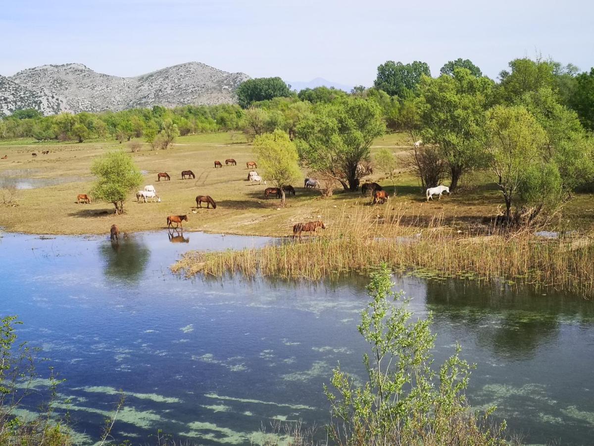 Wild Beauty House Skadar Lake Τσέτινιε Εξωτερικό φωτογραφία