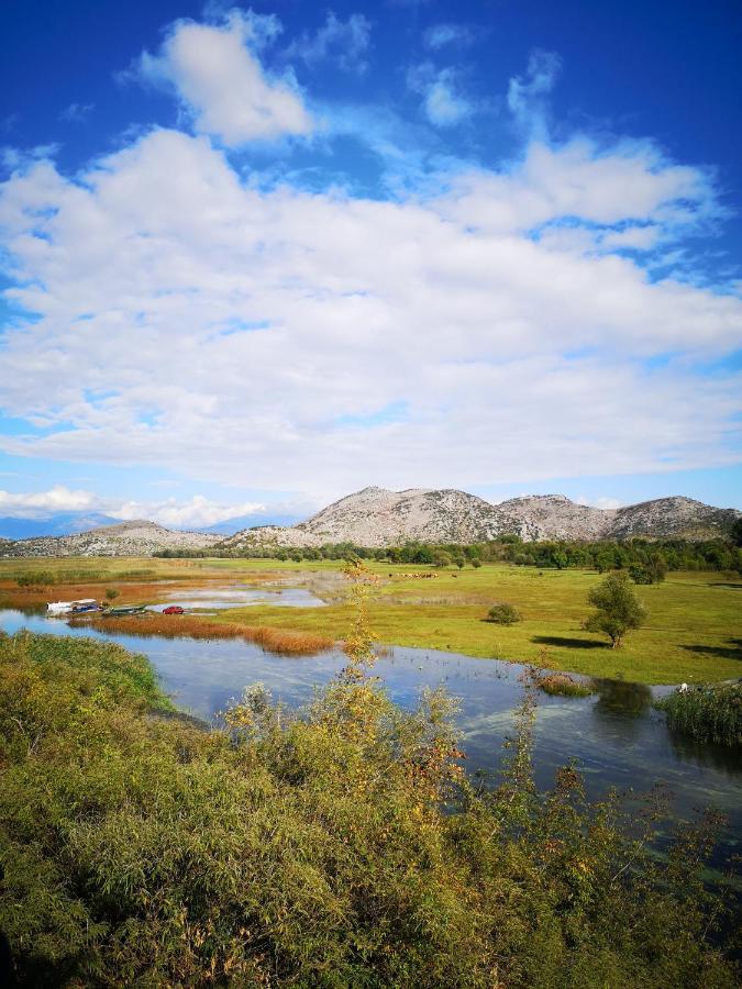 Wild Beauty House Skadar Lake Τσέτινιε Εξωτερικό φωτογραφία