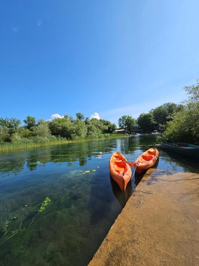 Wild Beauty House Skadar Lake Τσέτινιε Εξωτερικό φωτογραφία